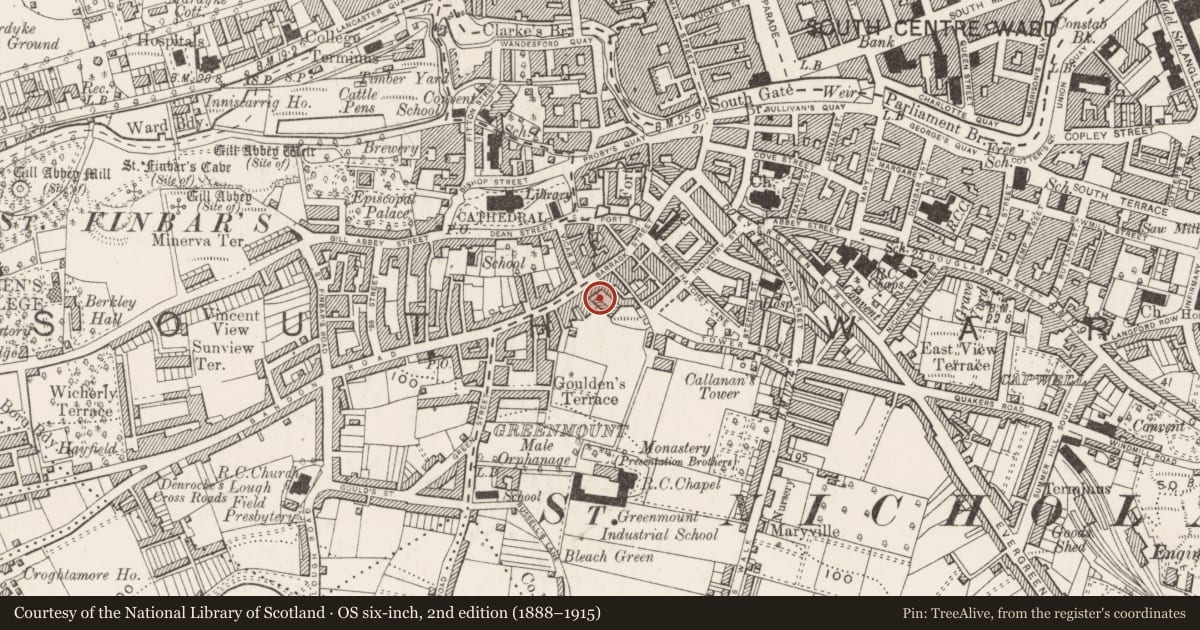 Ordnance Survey six-inch map, 2nd edition (1888–1915) covering the location of Excavation - miscellaneous, Cork City, County Cork, with a pin at the register's coordinates