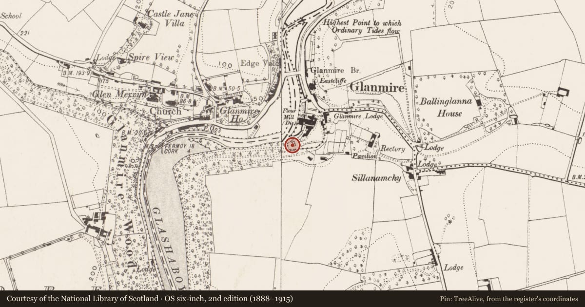 Ordnance Survey six-inch map, 2nd edition (1888–1915) covering the location of Kiln - lime, Ballinglanna, County Cork, with a pin at the register's coordinates