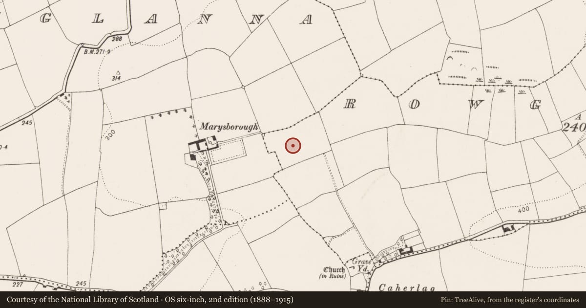 Ordnance Survey six-inch map, 2nd edition (1888–1915) covering the location of Ringfort - rath, Rowgarrane, County Cork, with a pin at the register's coordinates