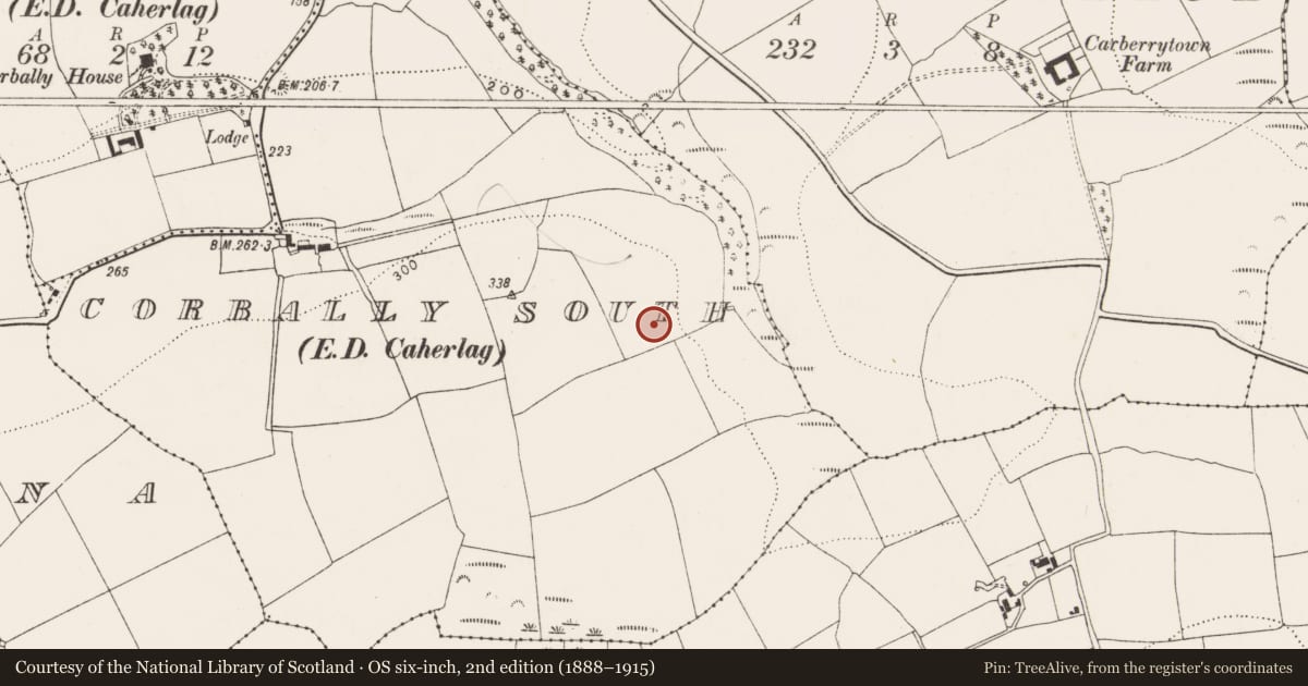 Ordnance Survey six-inch map, 2nd edition (1888–1915) covering the location of Ringfort - rath, Corbally South (Barrymore By., Ballydeloher Par.), County Cork, with a pin at the register's coordinates