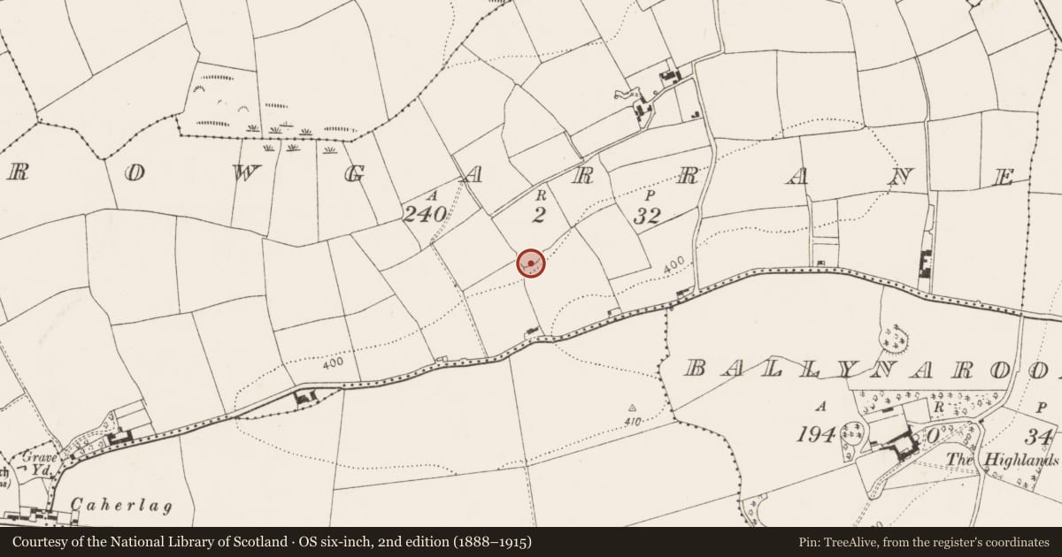 Ordnance Survey six-inch map, 2nd edition (1888–1915) covering the location of Ringfort - rath, Rowgarrane, County Cork, with a pin at the register's coordinates