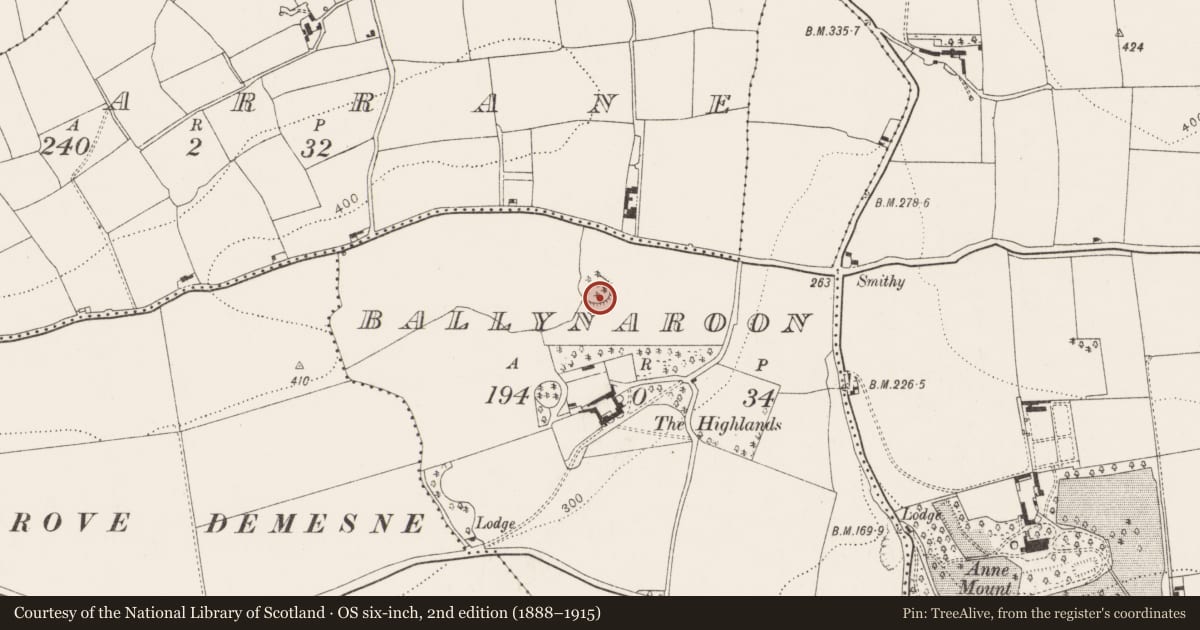 Ordnance Survey six-inch map, 2nd edition (1888–1915) covering the location of Ringfort - rath, Ballynaroon, County Cork, with a pin at the register's coordinates