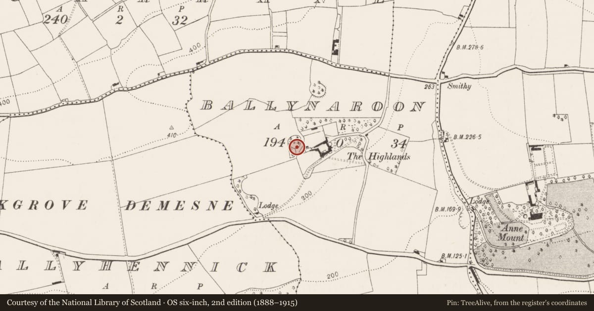 Ordnance Survey six-inch map, 2nd edition (1888–1915) covering the location of Ringfort - rath, Ballynaroon, County Cork, with a pin at the register's coordinates