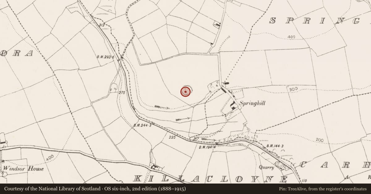 Ordnance Survey six-inch map, 2nd edition (1888–1915) covering the location of Ringfort - rath, Ballyregan, County Cork, with a pin at the register's coordinates