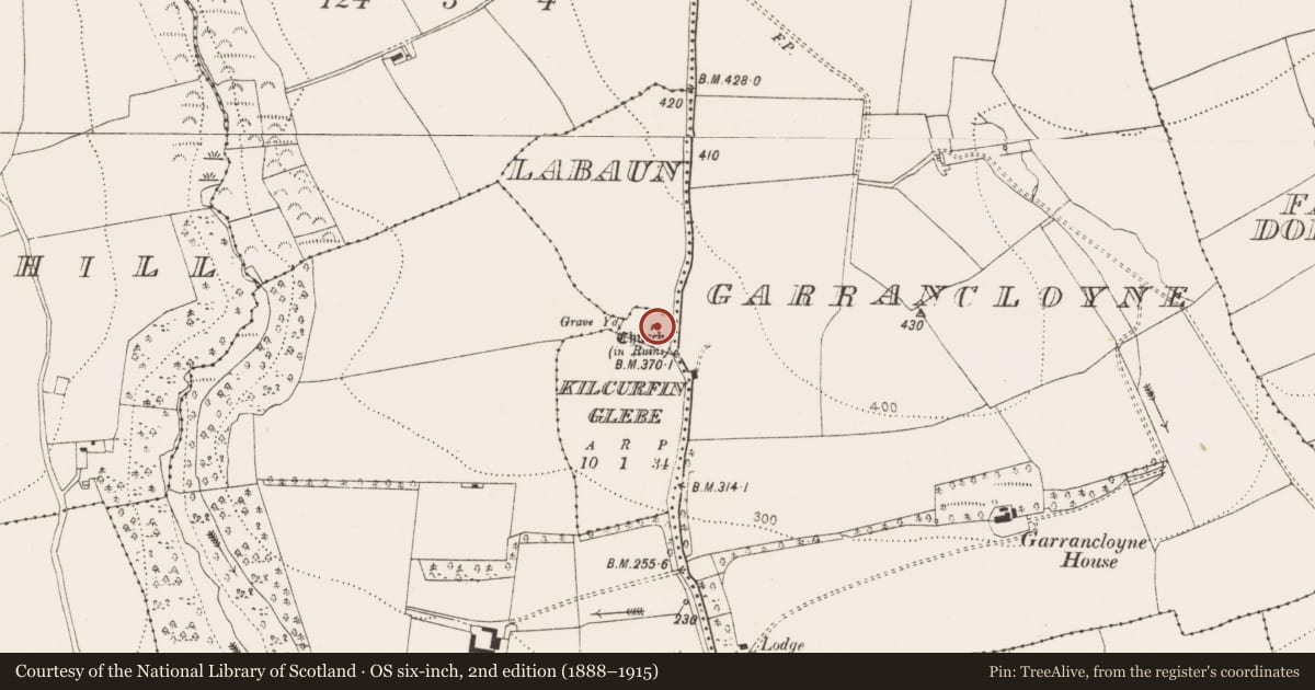 Ordnance Survey six-inch map, 2nd edition (1888–1915) covering the location of Church, Kilcurfin Glebe, County Cork, with a pin at the register's coordinates