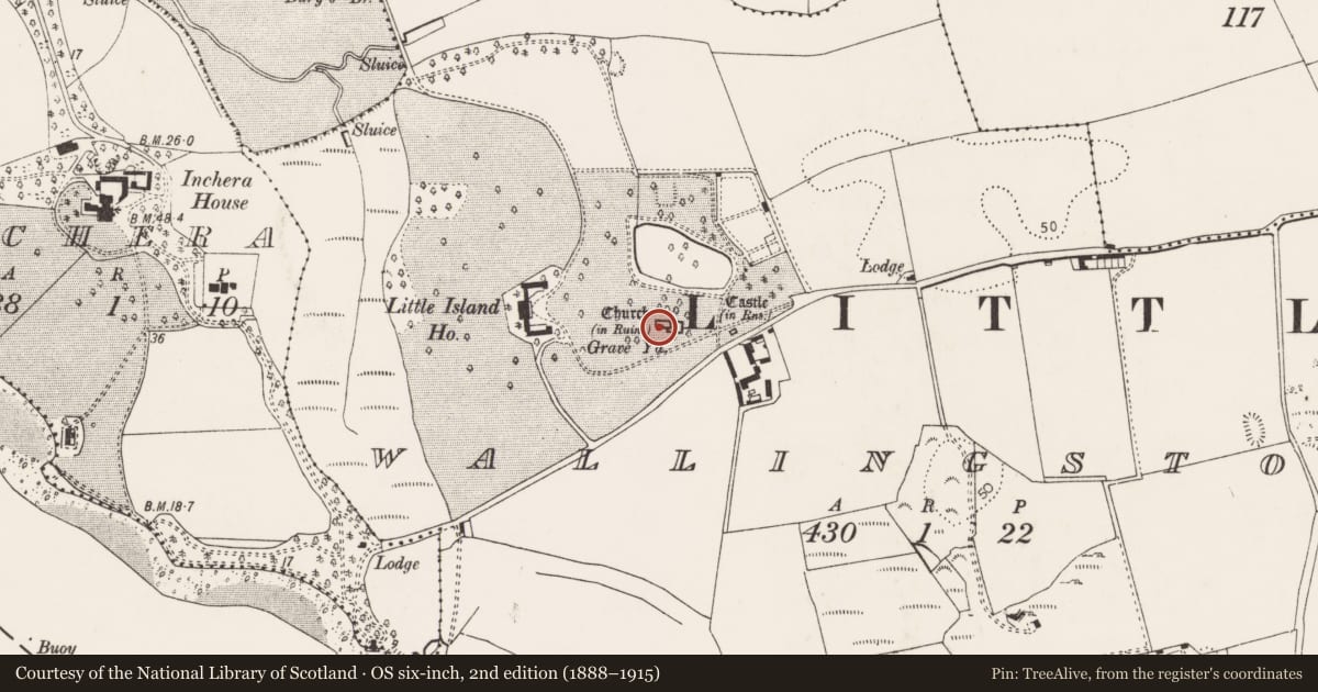 Ordnance Survey six-inch map, 2nd edition (1888–1915) covering the location of Church, Wallingstown, County Cork, with a pin at the register's coordinates