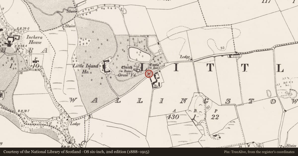 Ordnance Survey six-inch map, 2nd edition (1888–1915) covering the location of Castle - tower house, Wallingstown, County Cork, with a pin at the register's coordinates