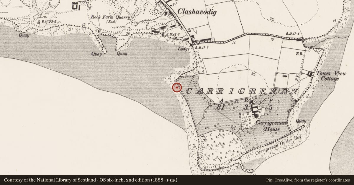 Ordnance Survey six-inch map, 2nd edition (1888–1915) covering the location of Midden, Carrigrenan, County Cork, with a pin at the register's coordinates