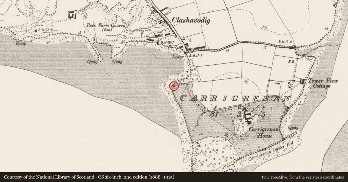 Ordnance Survey six-inch map, 2nd edition (1888–1915) covering the location of Designed landscape - belvedere, Carrigrenan, County Cork, with a pin at the register's coordinates