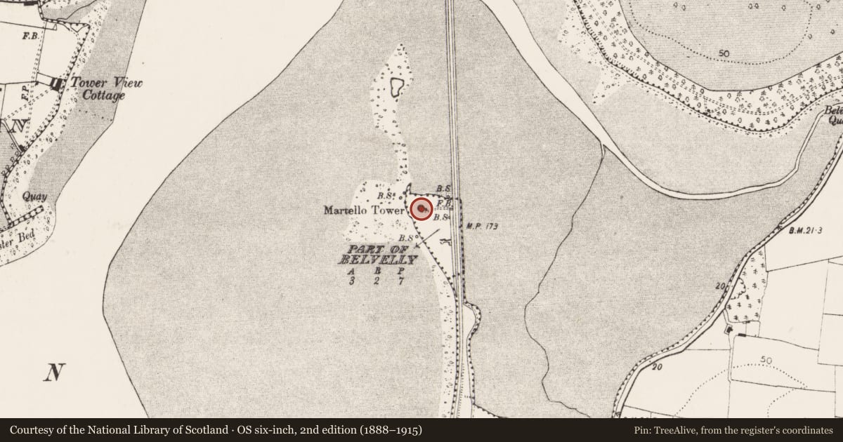 Ordnance Survey six-inch map, 2nd edition (1888–1915) covering the location of Martello tower, Belvelly, County Cork, with a pin at the register's coordinates