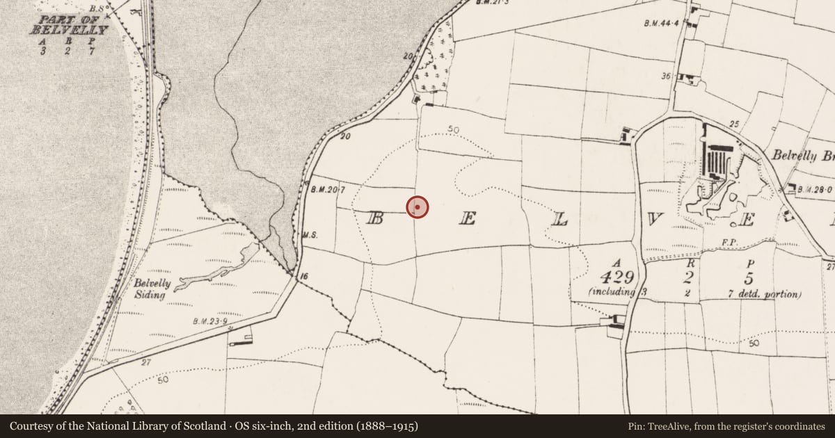 Ordnance Survey six-inch map, 2nd edition (1888–1915) covering the location of Designed landscape - tree-ring, Belvelly, County Cork, with a pin at the register's coordinates