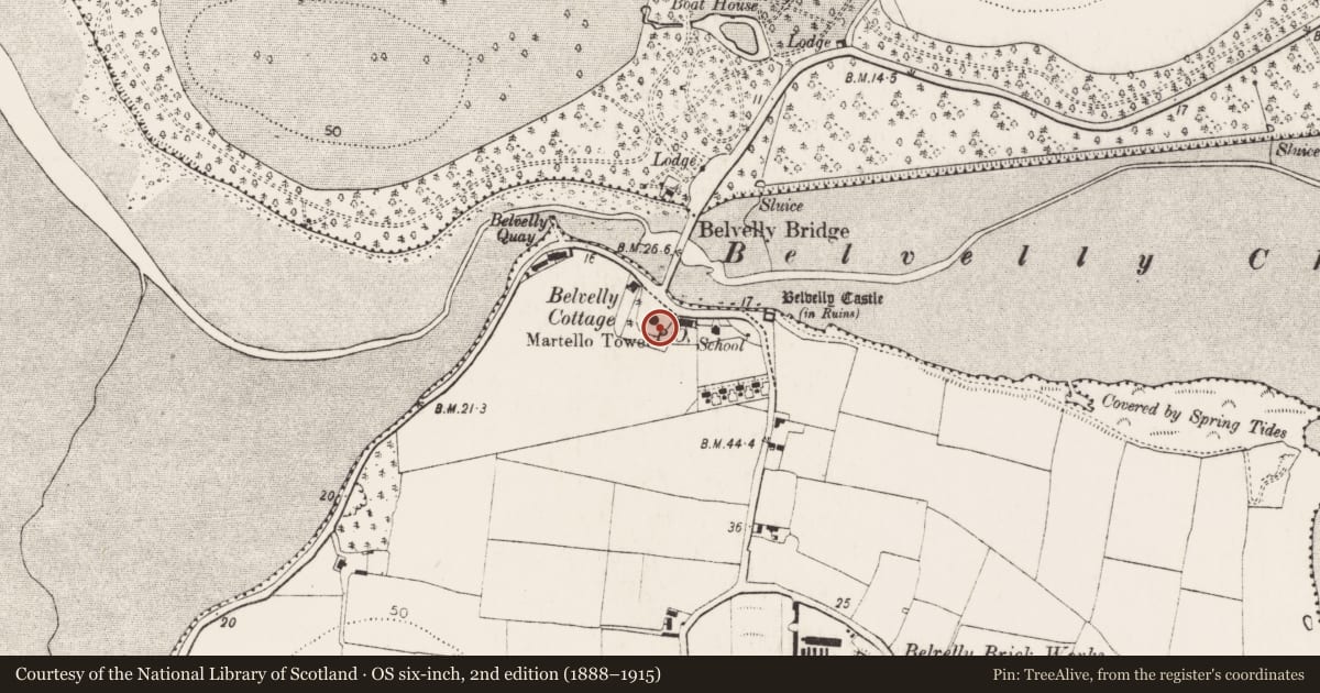Ordnance Survey six-inch map, 2nd edition (1888–1915) covering the location of Martello tower, Belvelly, County Cork, with a pin at the register's coordinates