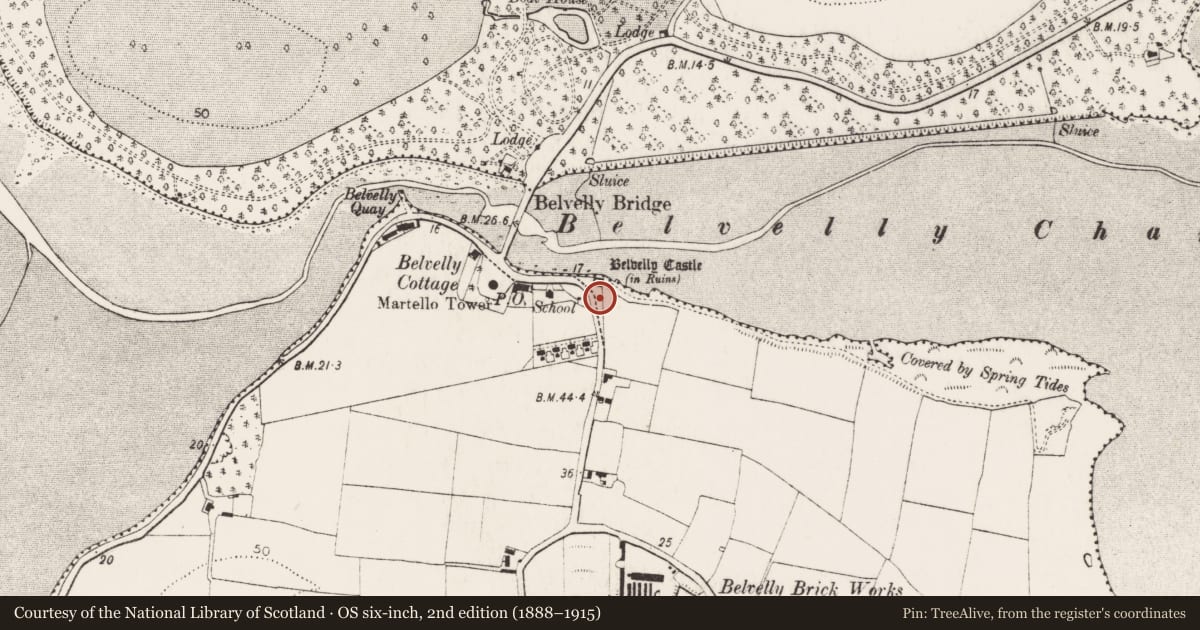 Ordnance Survey six-inch map, 2nd edition (1888–1915) covering the location of Castle - tower house, Belvelly, County Cork, with a pin at the register's coordinates