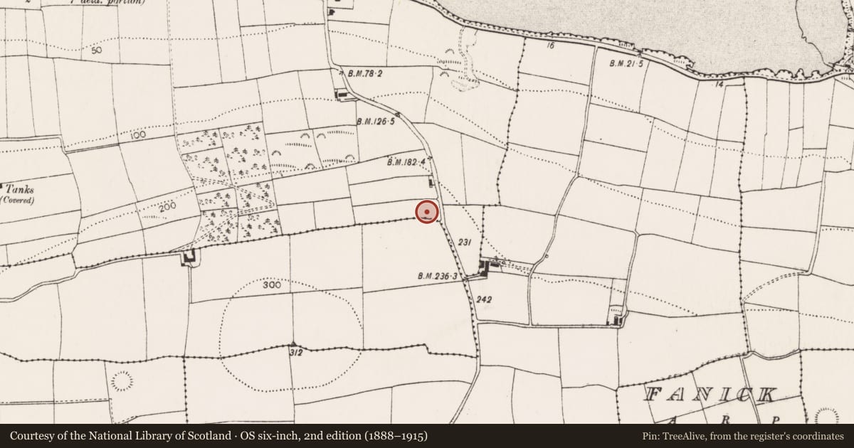 Ordnance Survey six-inch map, 2nd edition (1888–1915) covering the location of Ringfort - rath, Belvelly, County Cork, with a pin at the register's coordinates