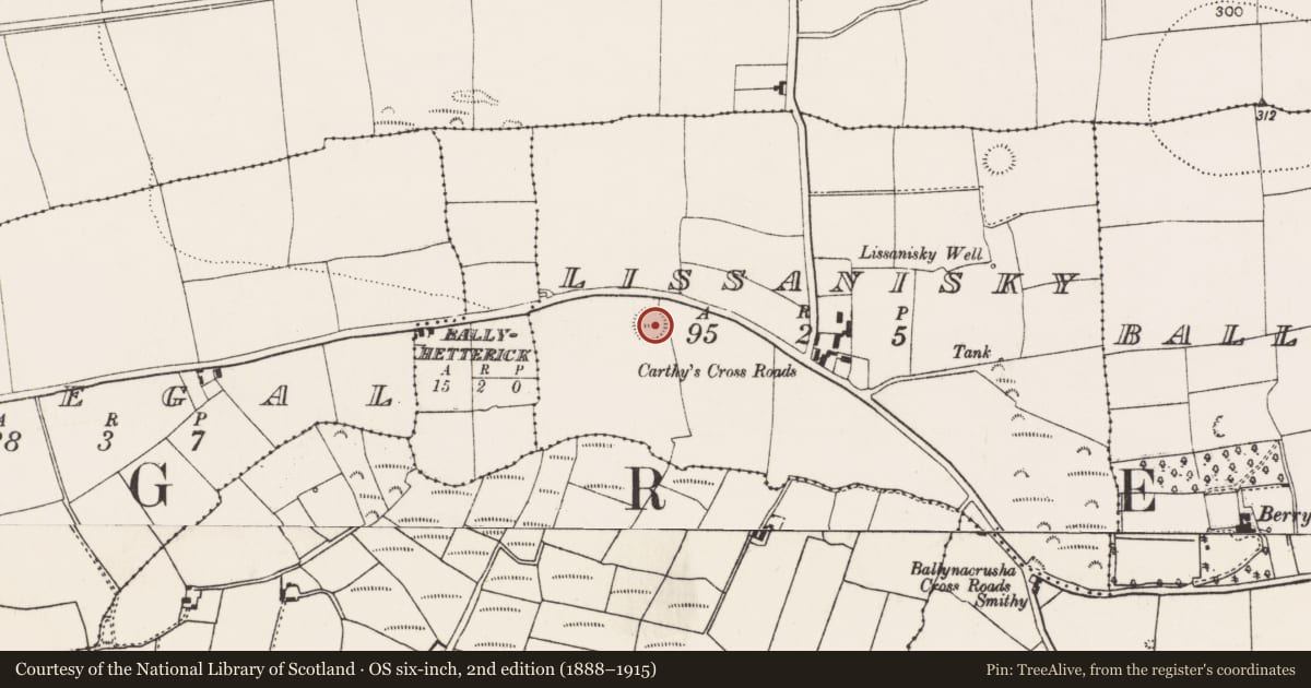 Ordnance Survey six-inch map, 2nd edition (1888–1915) covering the location of Ringfort - rath, Lissanisky, County Cork, with a pin at the register's coordinates