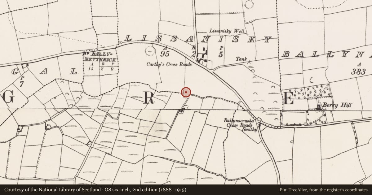 Ordnance Survey six-inch map, 2nd edition (1888–1915) covering the location of Ringfort - rath, Lissanisky, County Cork, with a pin at the register's coordinates