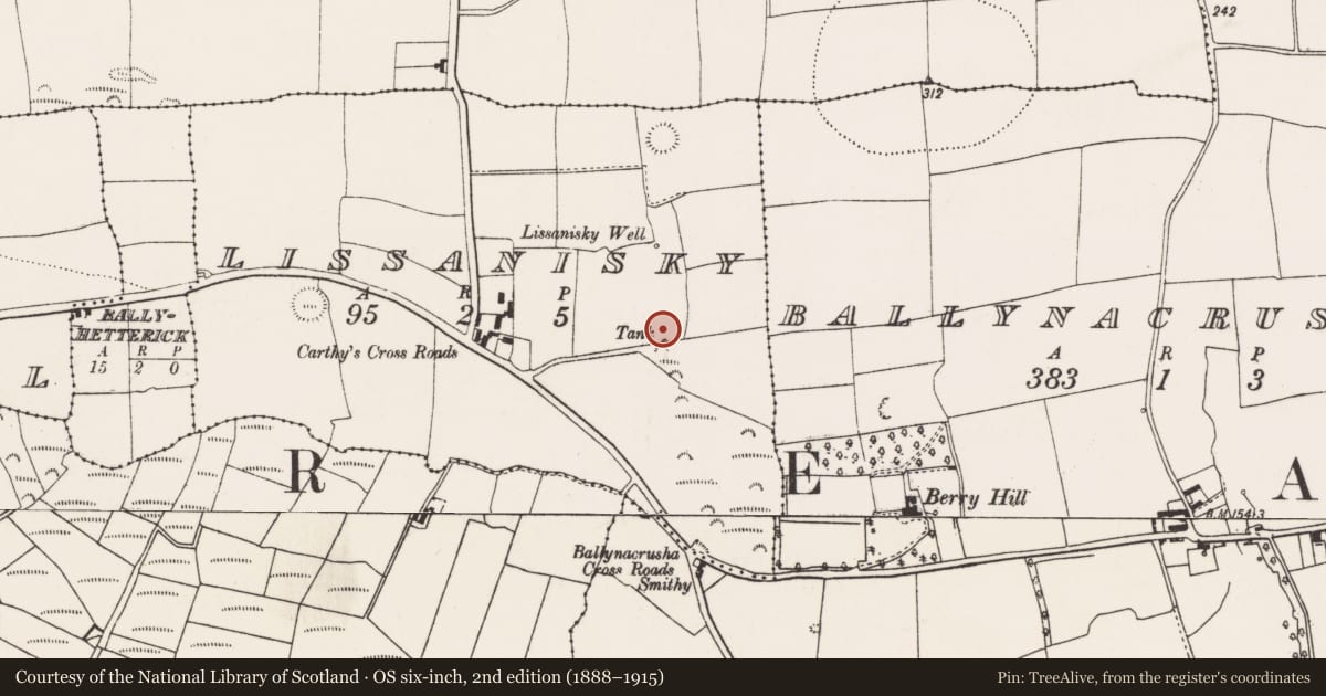 Ordnance Survey six-inch map, 2nd edition (1888–1915) covering the location of Fulacht fia, Lissanisky, County Cork, with a pin at the register's coordinates