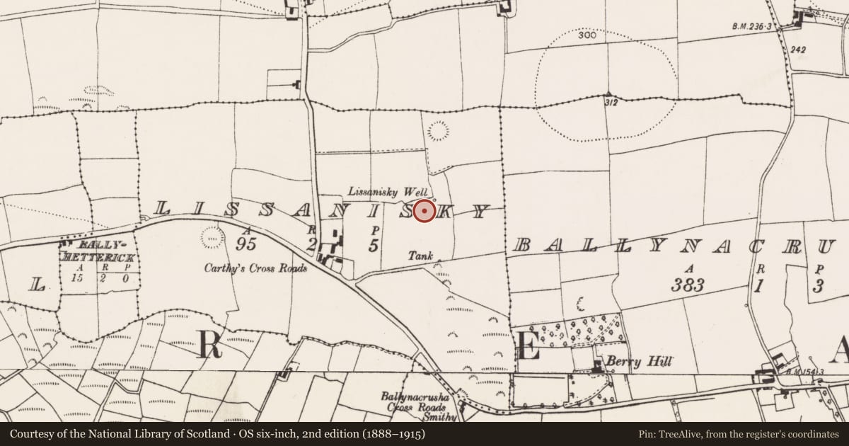 Ordnance Survey six-inch map, 2nd edition (1888–1915) covering the location of Fulacht fia, Lissanisky, County Cork, with a pin at the register's coordinates