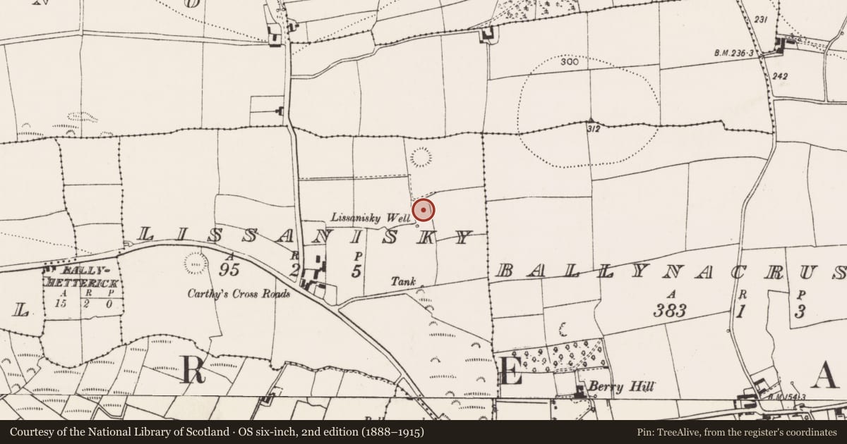 Ordnance Survey six-inch map, 2nd edition (1888–1915) covering the location of Fulacht fia, Lissanisky, County Cork, with a pin at the register's coordinates