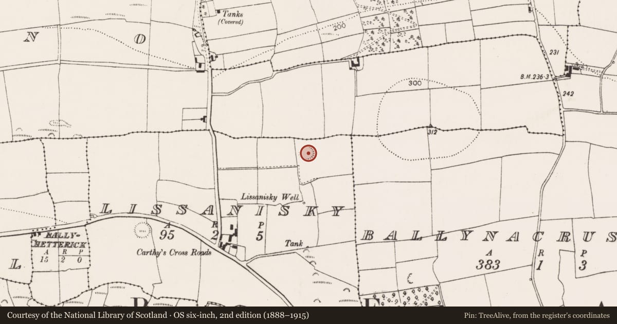 Ordnance Survey six-inch map, 2nd edition (1888–1915) covering the location of Ringfort - rath, Lissanisky, County Cork, with a pin at the register's coordinates