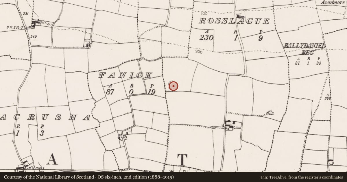 Ordnance Survey six-inch map, 2nd edition (1888–1915) covering the location of Ringfort - rath, Rosslague, County Cork, with a pin at the register's coordinates