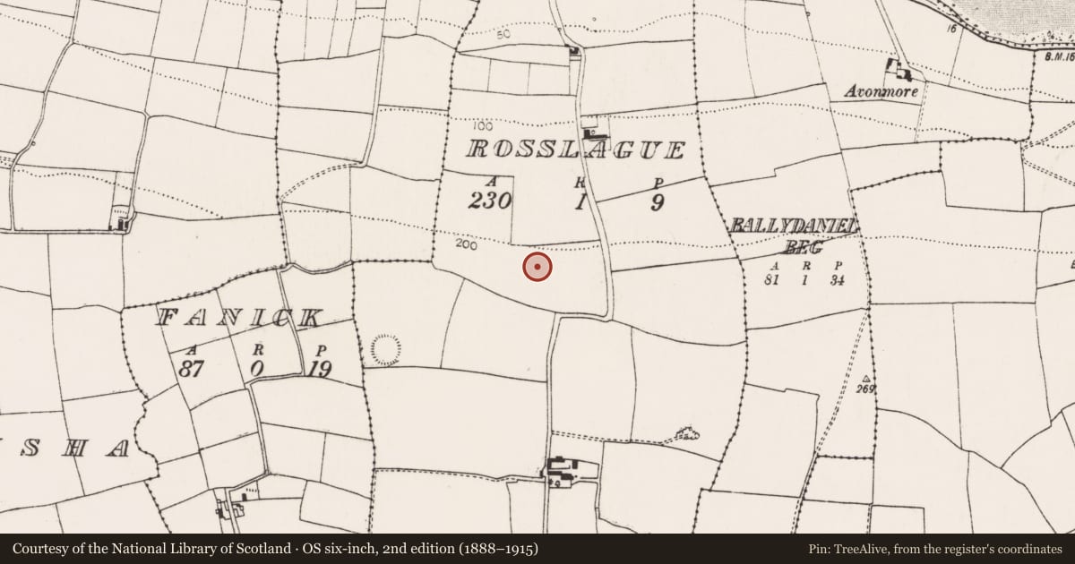 Ordnance Survey six-inch map, 2nd edition (1888–1915) covering the location of Ringfort - rath, Rosslague, County Cork, with a pin at the register's coordinates