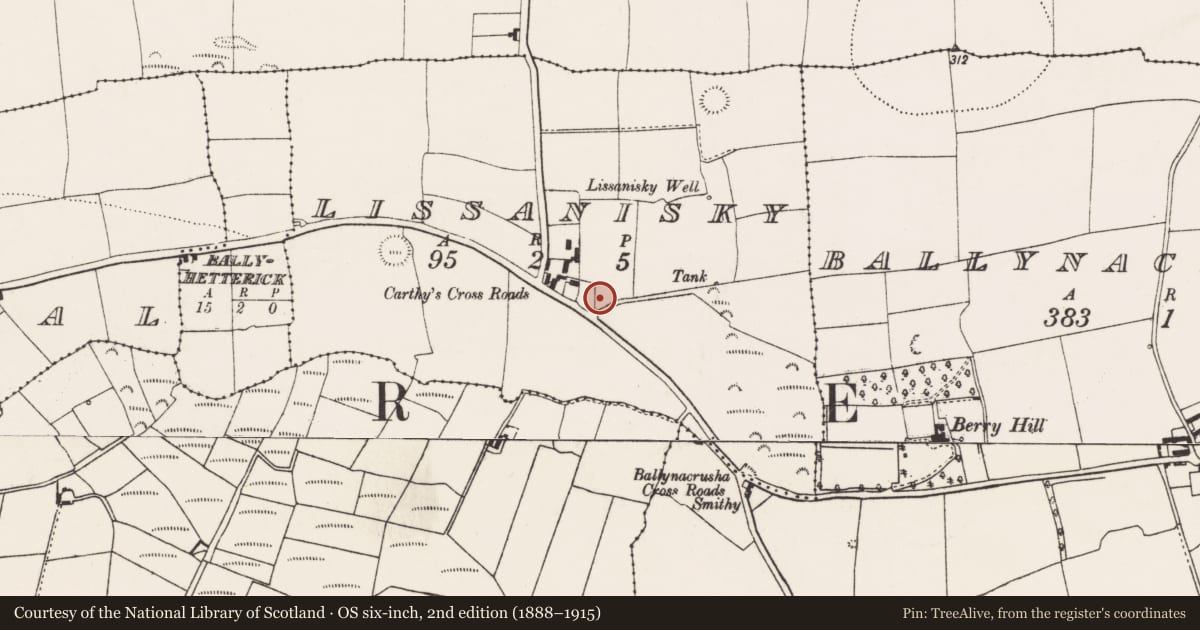Ordnance Survey six-inch map, 2nd edition (1888–1915) covering the location of Ringfort - rath, Lissanisky, County Cork, with a pin at the register's coordinates