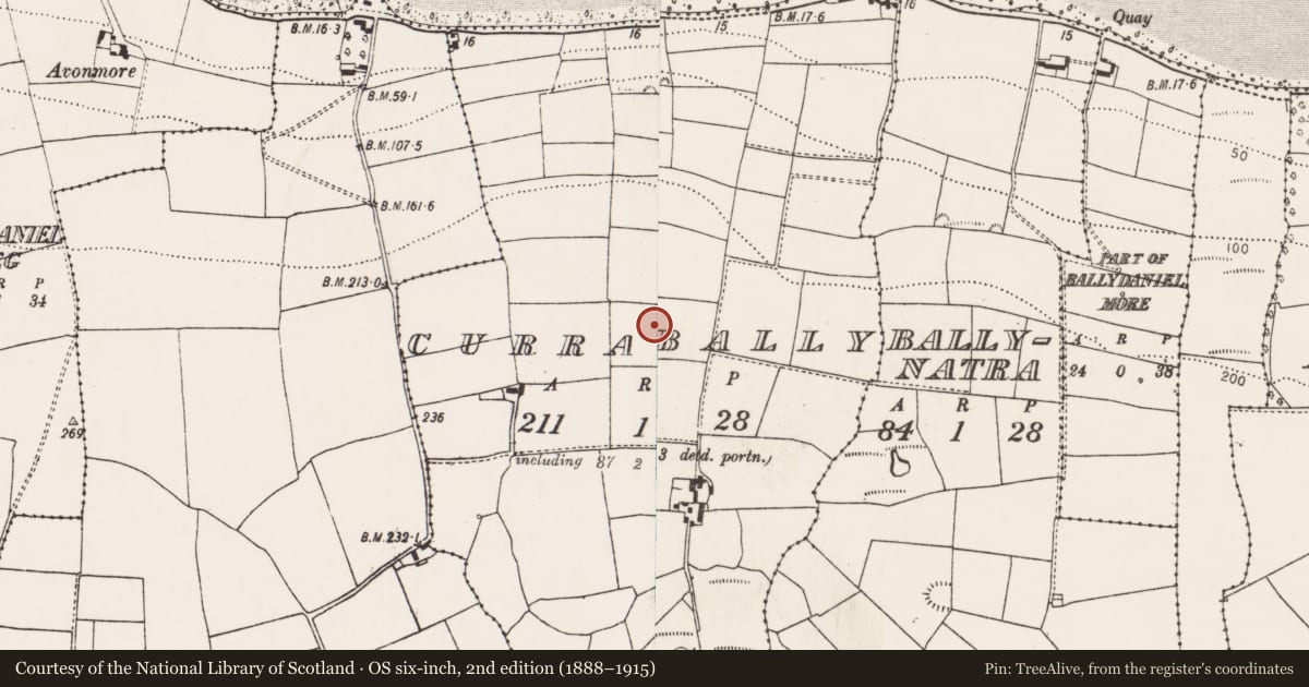 Ordnance Survey six-inch map, 2nd edition (1888–1915) covering the location of Barrow - mound barrow, Currabally, County Cork, with a pin at the register's coordinates