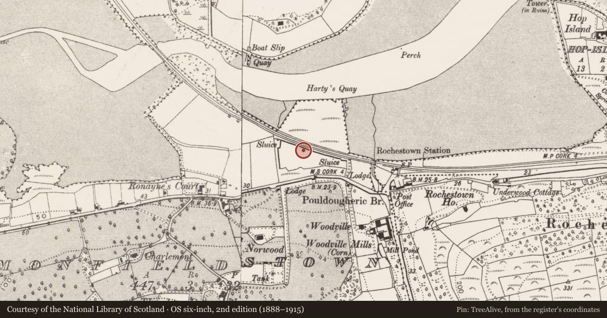 Ordnance Survey six-inch map, 2nd edition (1888–1915) covering the location of Midden, Monfieldstown, County Cork, with a pin at the register's coordinates