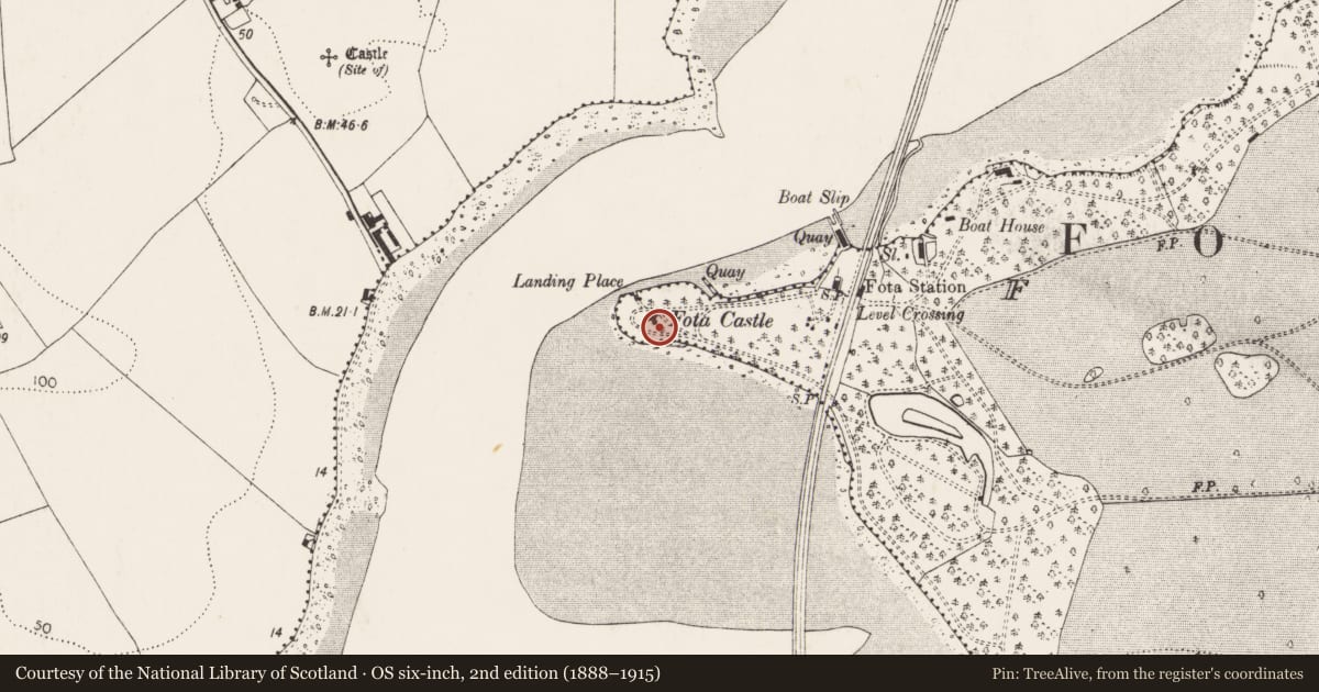 Ordnance Survey six-inch map, 2nd edition (1888–1915) covering the location of Designed landscape - folly, Foaty, County Cork, with a pin at the register's coordinates