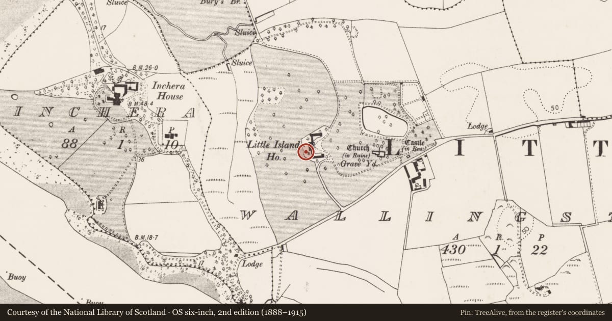 Ordnance Survey six-inch map, 2nd edition (1888–1915) covering the location of Water mill - horizontal-wheeled, Wallingstown, County Cork, with a pin at the register's coordinates