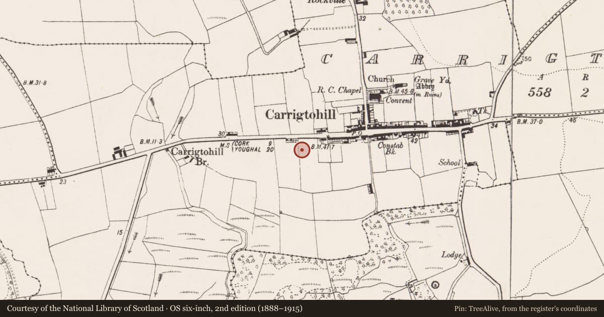 Ordnance Survey six-inch map, 2nd edition (1888–1915) covering the location of Midden, Carrigtohill, County Cork, with a pin at the register's coordinates