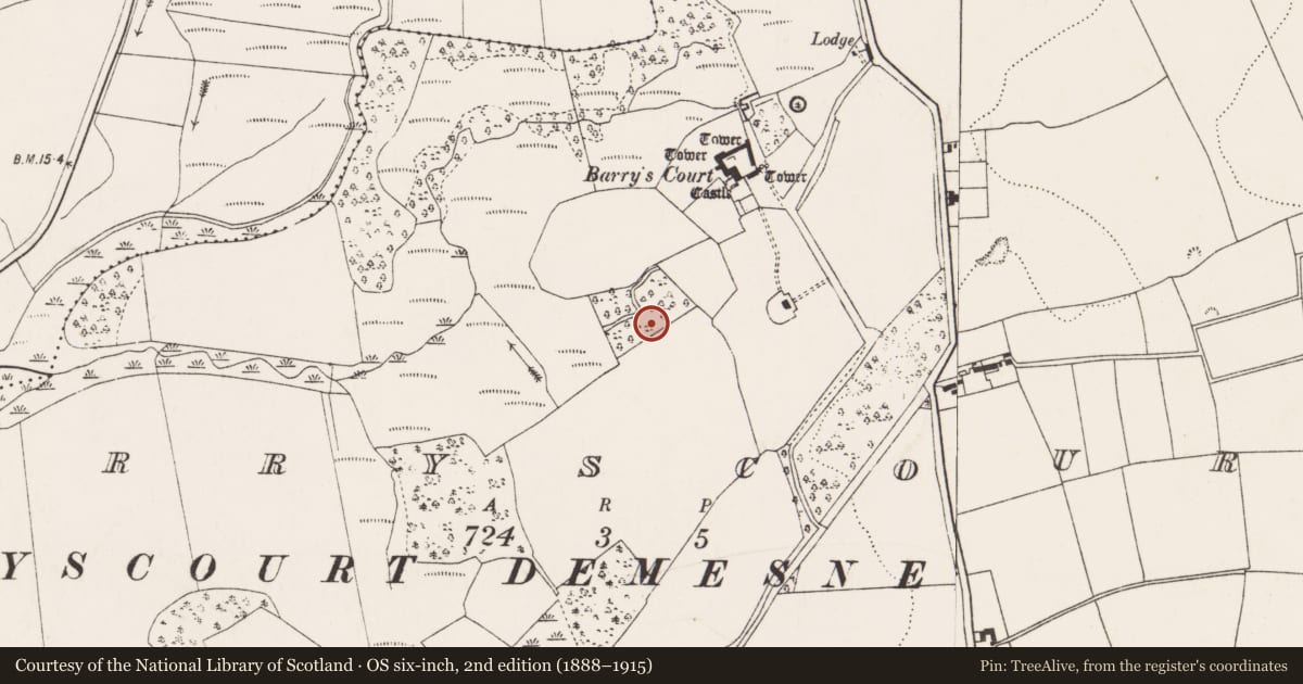Ordnance Survey six-inch map, 2nd edition (1888–1915) covering the location of Fulacht fia, Barryscourt, County Cork, with a pin at the register's coordinates