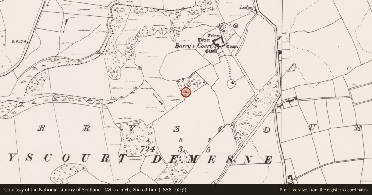 Ordnance Survey six-inch map, 2nd edition (1888–1915) covering the location of Fulacht fia, Barryscourt, County Cork, with a pin at the register's coordinates