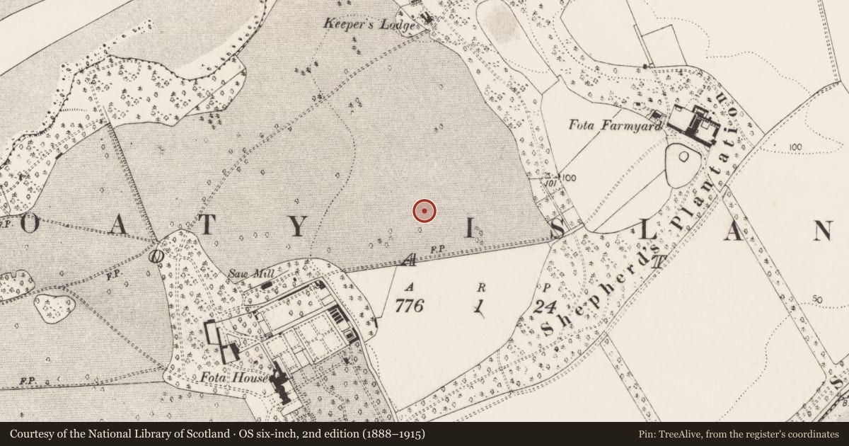 Ordnance Survey six-inch map, 2nd edition (1888–1915) covering the location of Excavation - miscellaneous, Foaty, County Cork, with a pin at the register's coordinates