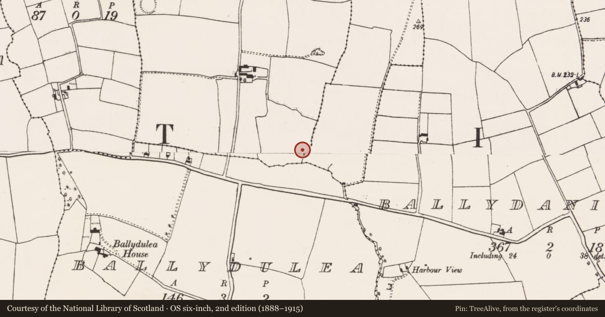 Ordnance Survey six-inch map, 2nd edition (1888–1915) covering the location of Burnt mound, Rosslague, County Cork, with a pin at the register's coordinates