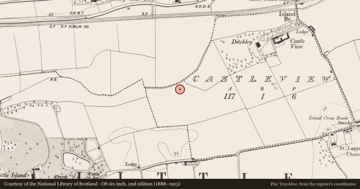 Ordnance Survey six-inch map, 2nd edition (1888–1915) covering the location of Fulacht fia, Castleview, County Cork, with a pin at the register's coordinates