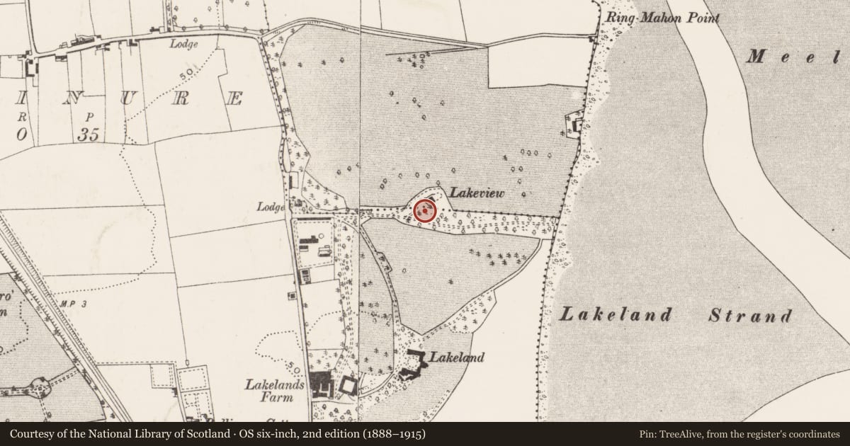 Ordnance Survey six-inch map, 2nd edition (1888–1915) covering the location of Excavation - miscellaneous, Mahon, County Cork, with a pin at the register's coordinates