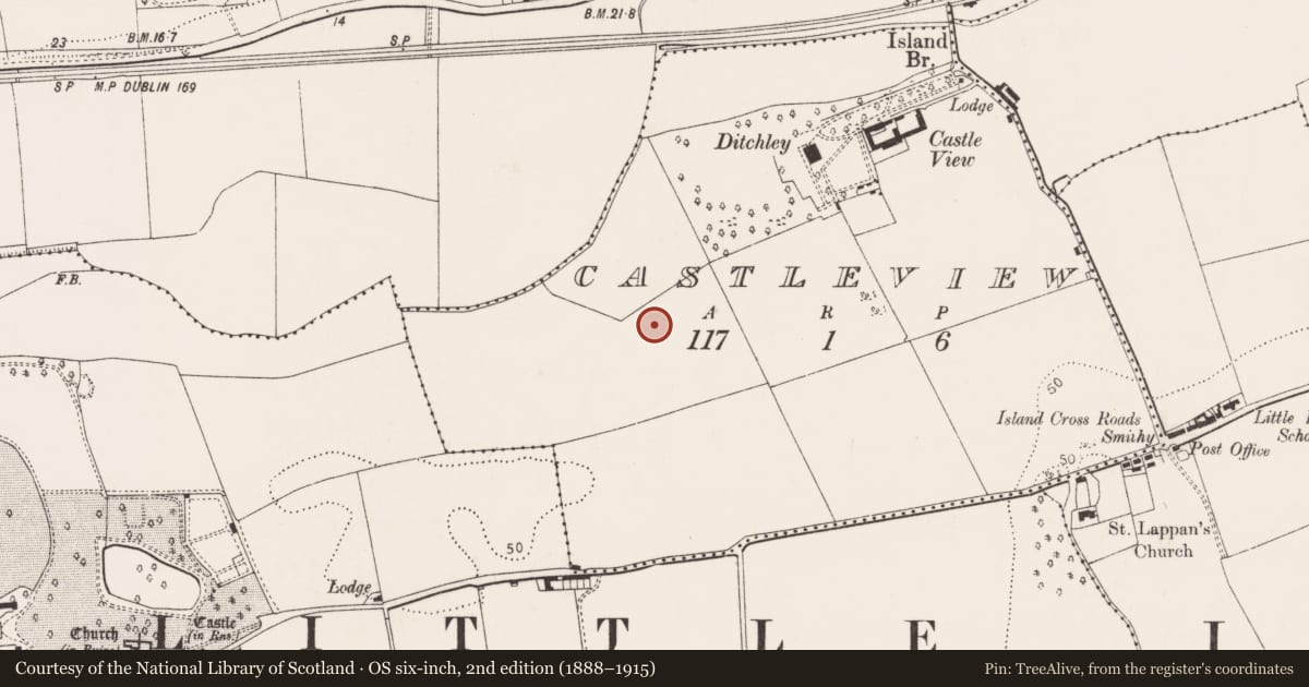 Ordnance Survey six-inch map, 2nd edition (1888–1915) covering the location of Kiln - corn-drying, Castleview, County Cork, with a pin at the register's coordinates