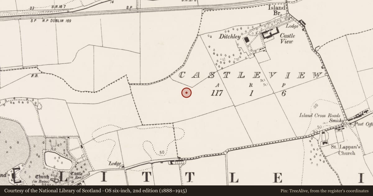 Ordnance Survey six-inch map, 2nd edition (1888–1915) covering the location of Kiln - corn-drying, Castleview, County Cork, with a pin at the register's coordinates