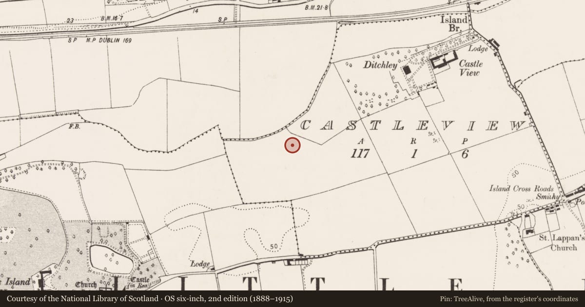 Ordnance Survey six-inch map, 2nd edition (1888–1915) covering the location of Kiln - corn-drying, Castleview, County Cork, with a pin at the register's coordinates