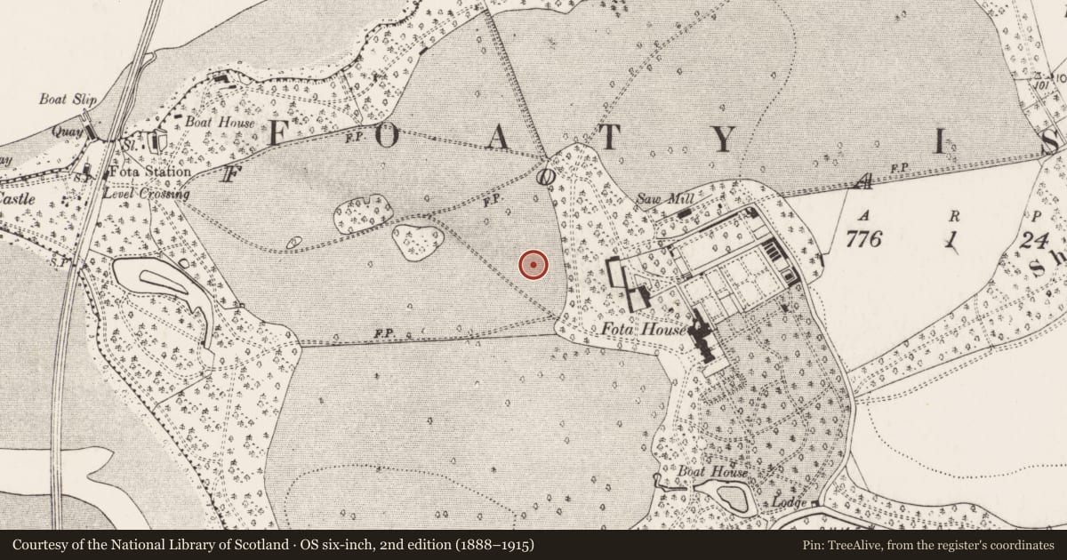 Ordnance Survey six-inch map, 2nd edition (1888–1915) covering the location of Pit, Foaty, County Cork, with a pin at the register's coordinates