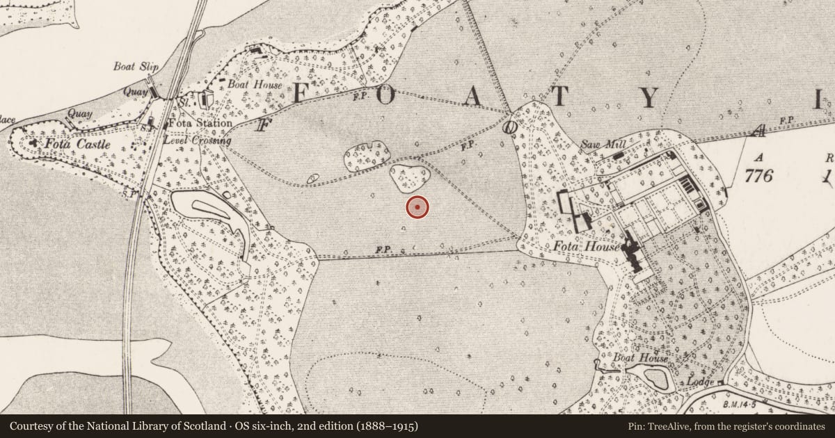 Ordnance Survey six-inch map, 2nd edition (1888–1915) covering the location of Fulacht fia, Foaty, County Cork, with a pin at the register's coordinates
