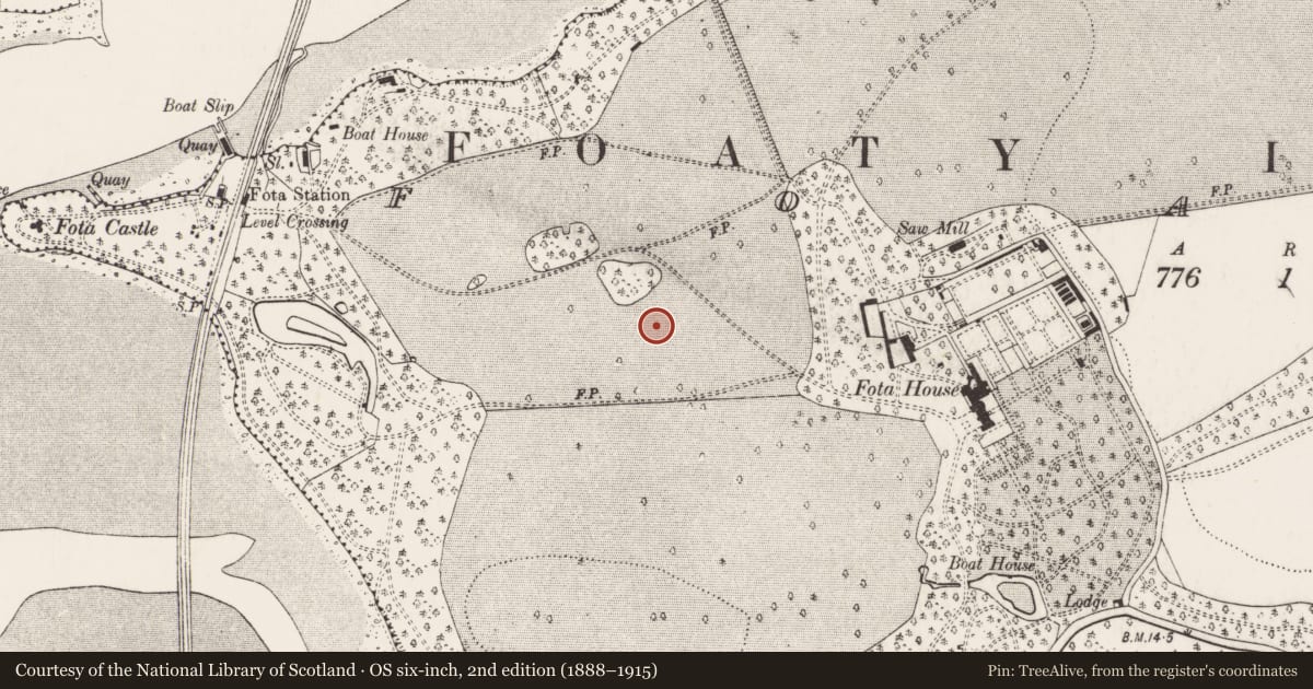 Ordnance Survey six-inch map, 2nd edition (1888–1915) covering the location of Fulacht fia, Foaty, County Cork, with a pin at the register's coordinates