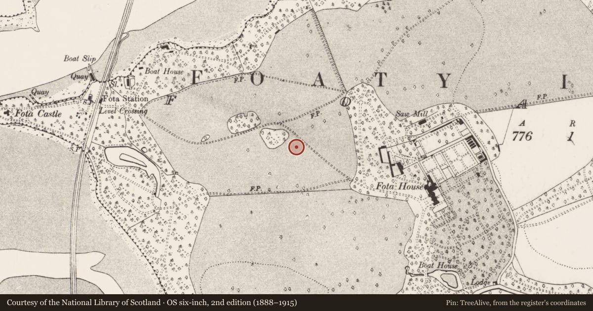 Ordnance Survey six-inch map, 2nd edition (1888–1915) covering the location of Excavation - miscellaneous, Foaty, County Cork, with a pin at the register's coordinates