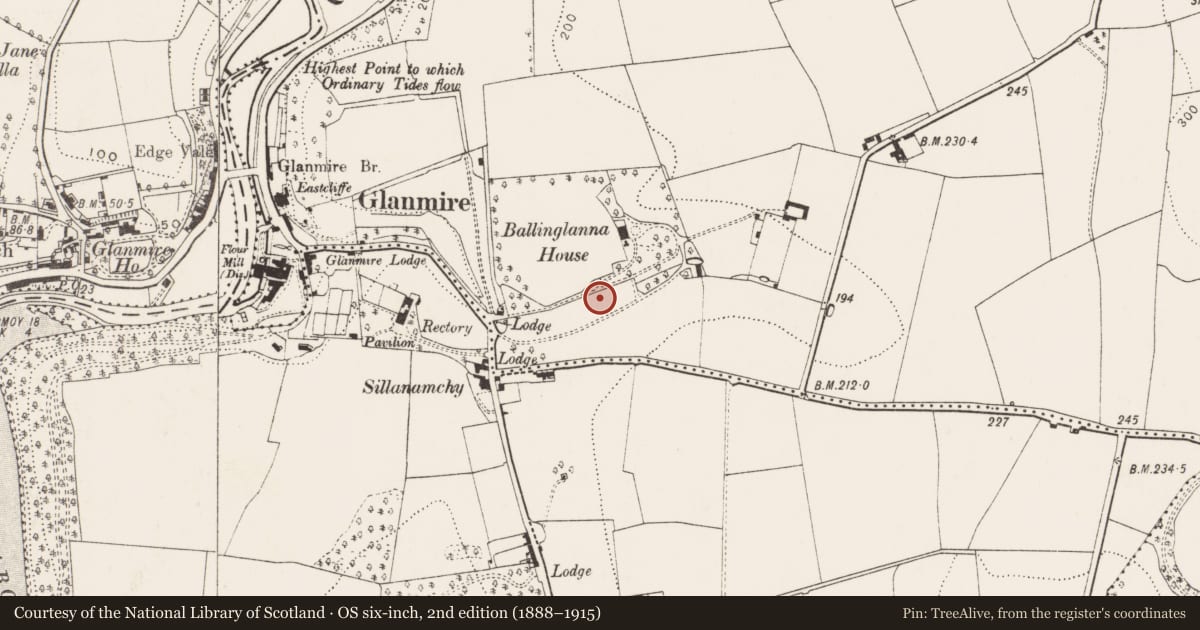Ordnance Survey six-inch map, 2nd edition (1888–1915) covering the location of Architectural fragment, Ballinglanna, County Cork, with a pin at the register's coordinates