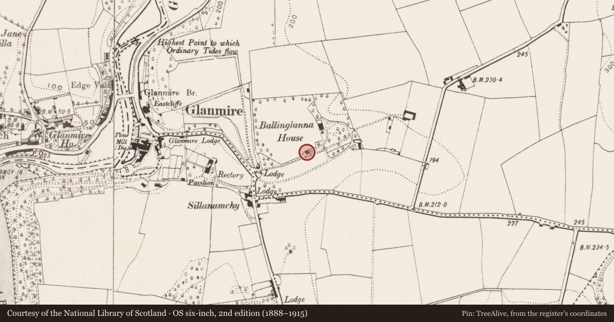 Ordnance Survey six-inch map, 2nd edition (1888–1915) covering the location of Architectural fragment, Ballinglanna, County Cork, with a pin at the register's coordinates