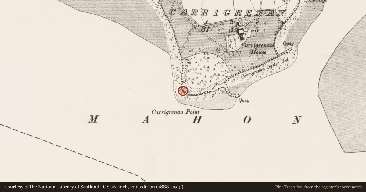 Ordnance Survey six-inch map, 2nd edition (1888–1915) covering the location of Midden, Carrigrenan, County Cork, with a pin at the register's coordinates