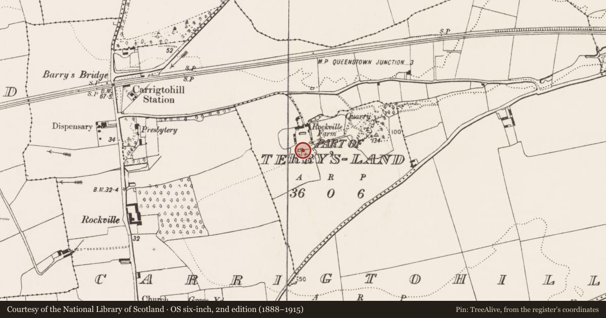 Ordnance Survey six-inch map, 2nd edition (1888–1915) covering the location of Kiln - lime, Terry'S-Land, County Cork, with a pin at the register's coordinates