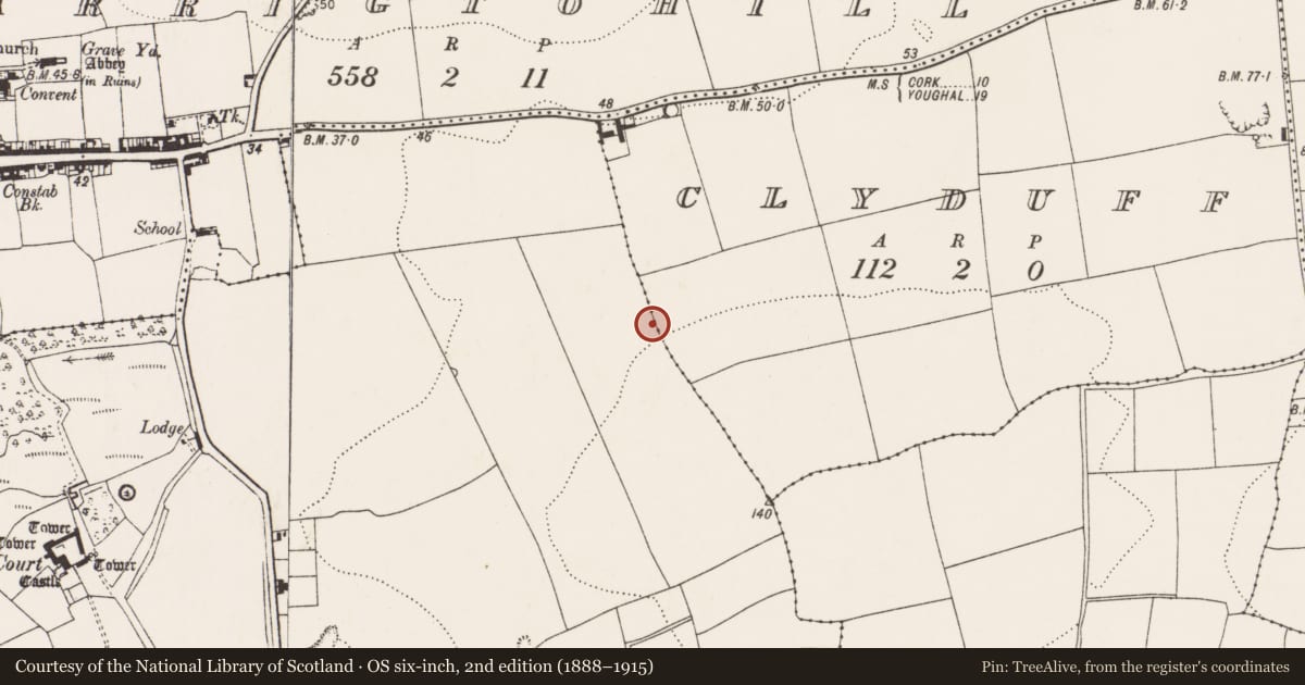 Ordnance Survey six-inch map, 2nd edition (1888–1915) covering the location of Linear earthwork, Barryscourt, Clyduff, County Cork, with a pin at the register's coordinates